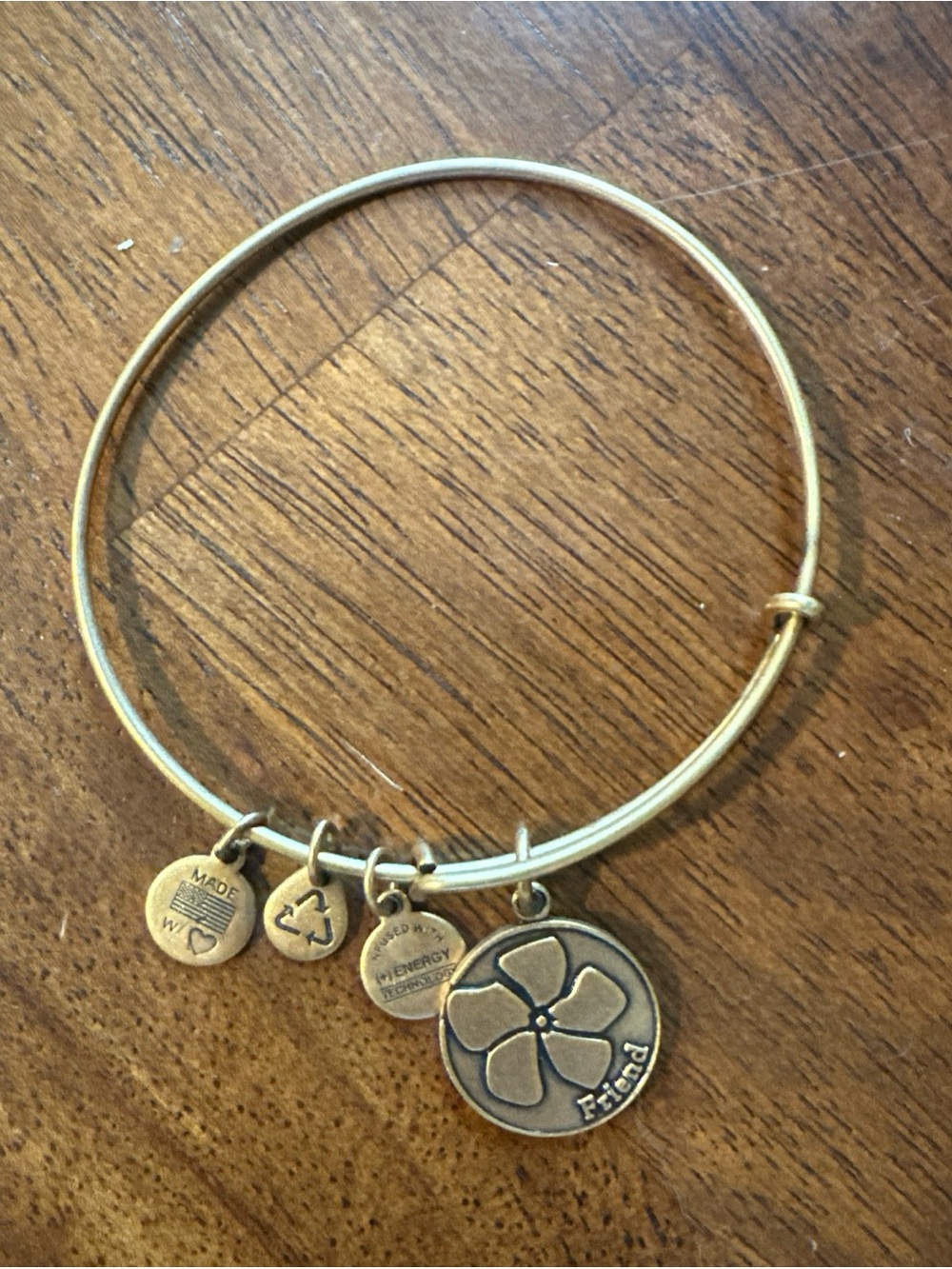 Alex and Ani Floral Friend Charm Bangle Bracelet Gold Tone friendship